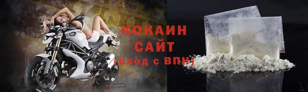 шишки Вяземский