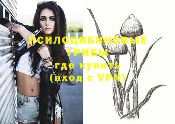 герыч Вязьма