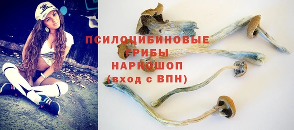 mdpv Володарск