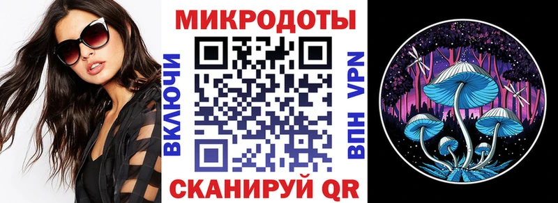 Галлюциногенные грибы Magic Shrooms  маркетплейс наркотические препараты  Закаменск 